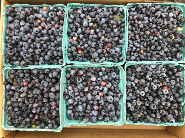 Blueberry Preserves 4oz